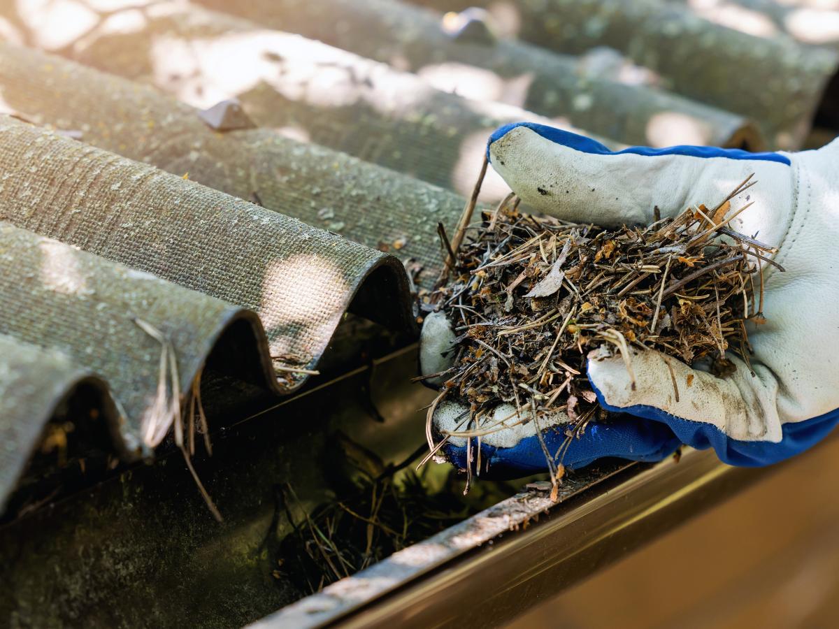 Gutter cleaning near me in Encino, CA to prevent overflow and leaks