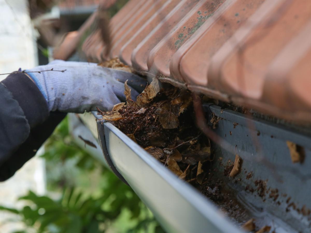 Gutter cleaning near me in Agoura Hills, CA to prevent roof damage