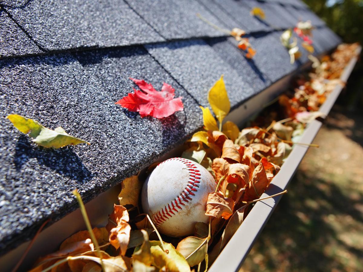 Gutter cleaning near me in Beverly Hills, CA for multi-story homes