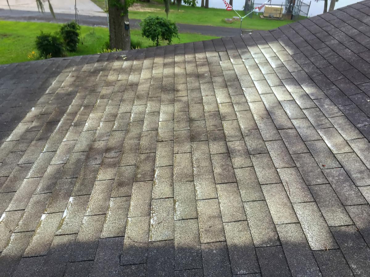 Roof Cleaning