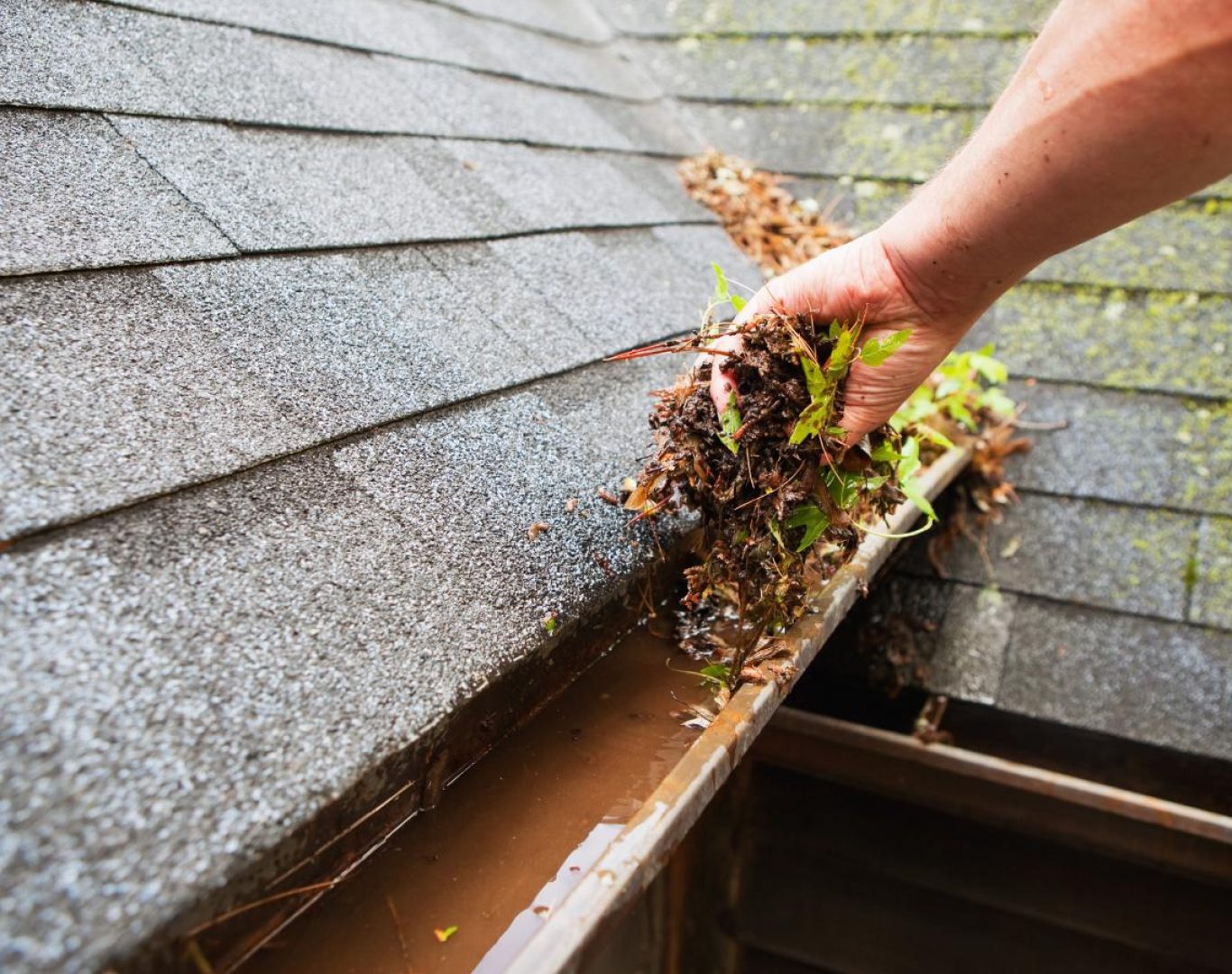 Gutter cleaning near me in Thousand Oaks, CA to prevent clogs and damage